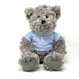 Traditional Bear with light Blue T shirt